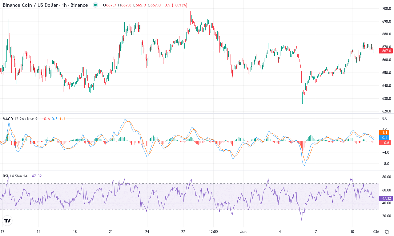 Bnb price chart
