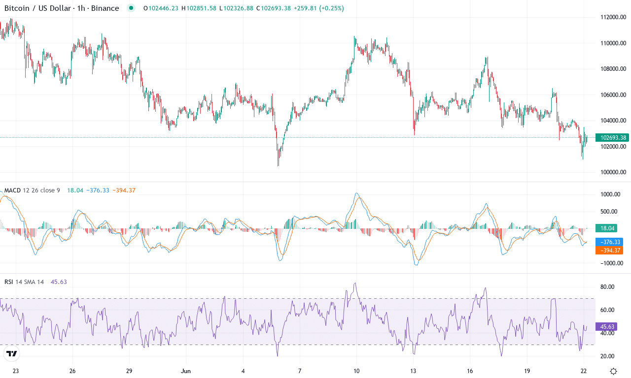 Btc price chart