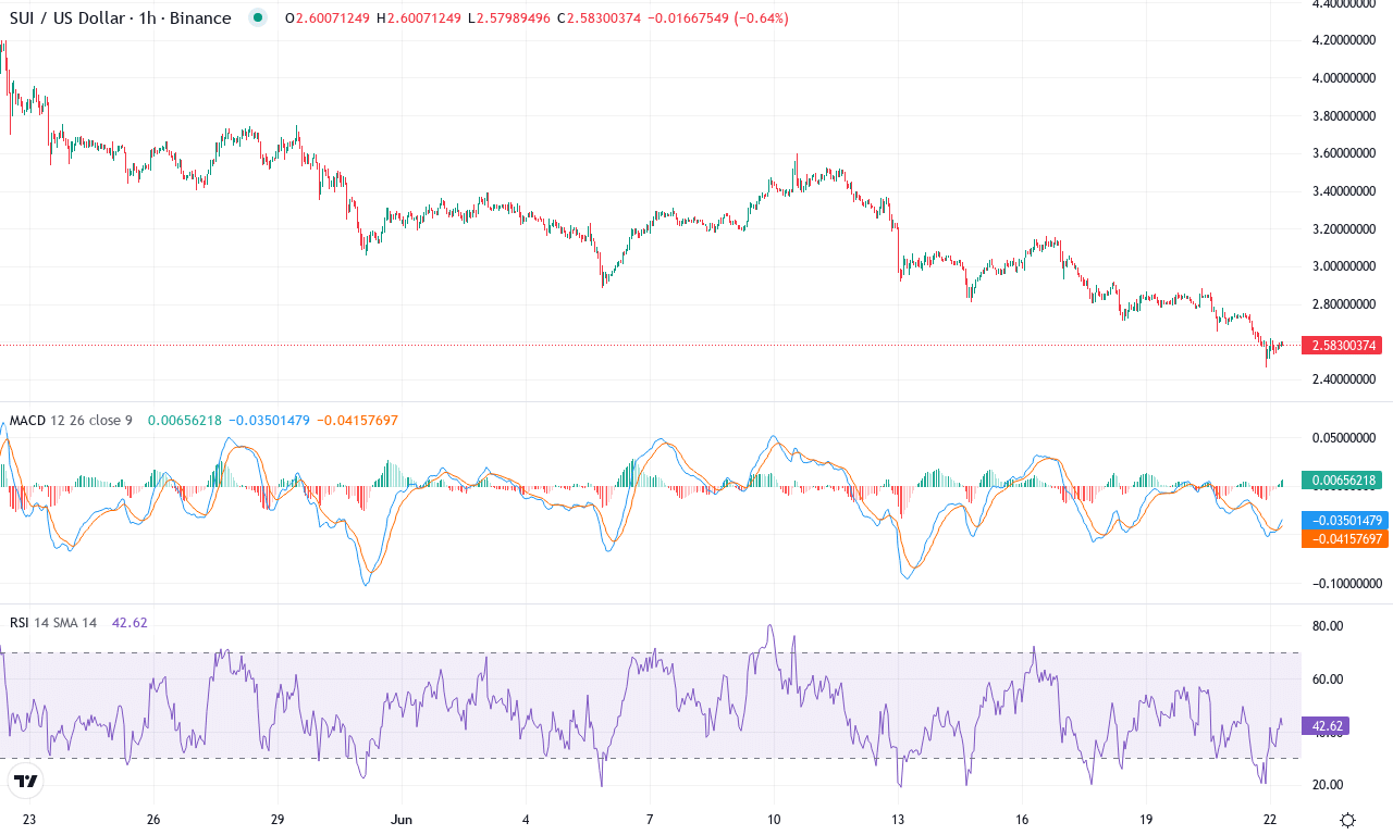 Sui price chart
